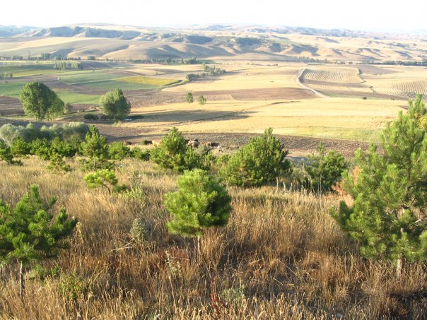 köy ziyaretleri